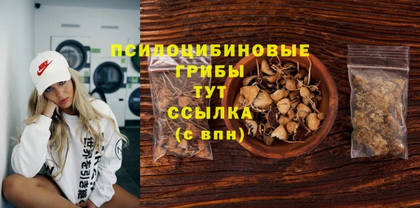 МДПВ Белокуриха